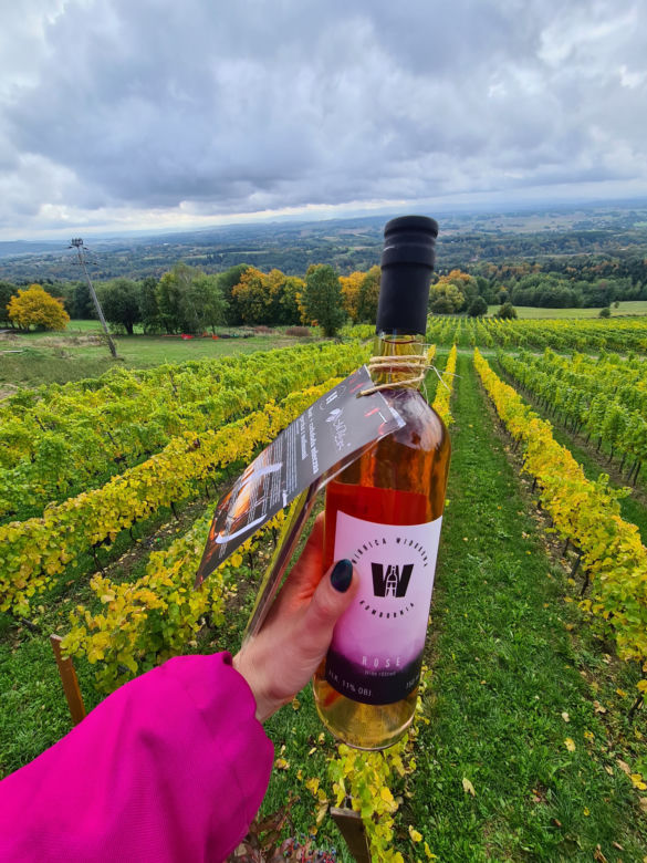 Wino i czekolada: skarby Podkarpacia [GALERIA]