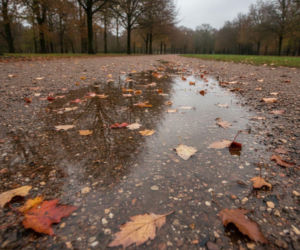 Weekendowa prognoza dla Rzeszowa ma haczyk. Jeden dzień może pokrzyżować plany