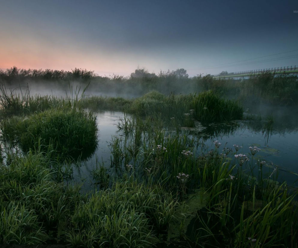 Narew w obiektywie Małgorzaty Pawelczyk. Magia! [ZDJĘCIE DNIA]