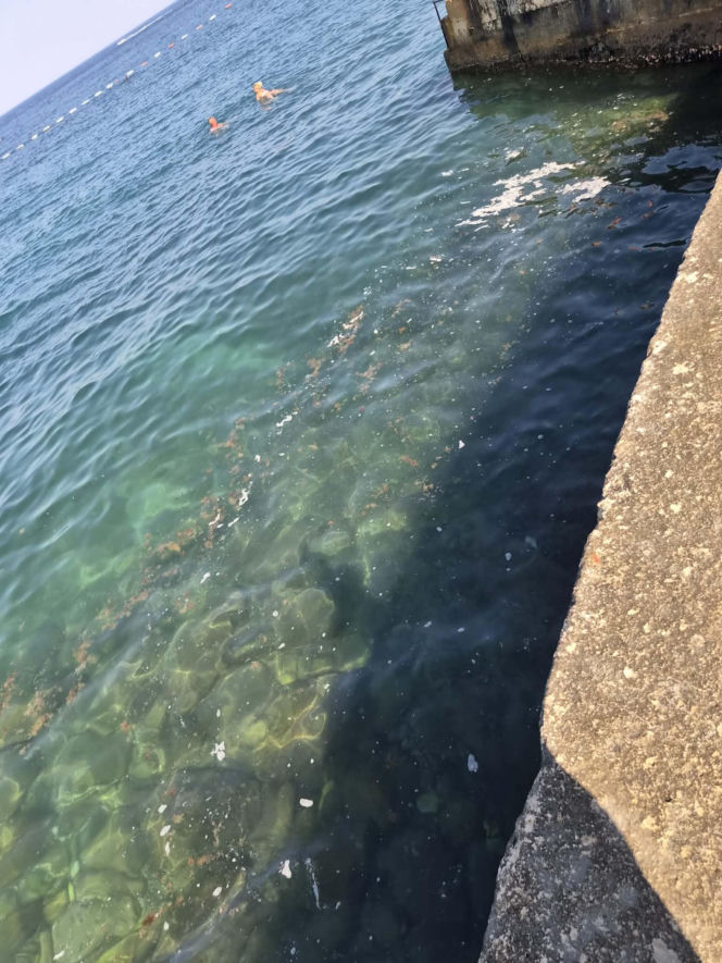 Polka przeżyła koszmar w Czarnogórze. „W morzu dryfowały fekalia, a plaże były pełne śmieci”