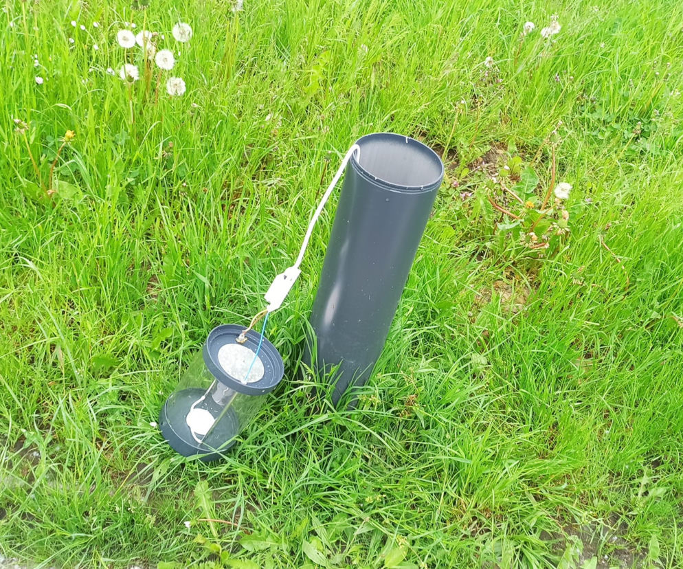 Powyrywane lampy w starachowickim Parku Miejskim. Straż Miejska zabezpieczyła monitoring
