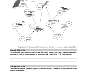 Matura 2018 z biologii [ARKUSZE CKE, ODPOWIEDZI]