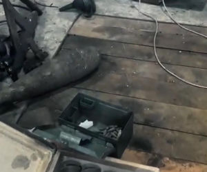 Nielegalny arsenał w domu na Mazowszu