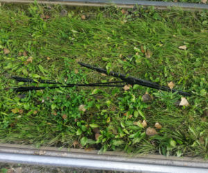 Zaatakował tramwaj w Krakowie