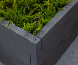 BUDMA 2026 - zdjęcia