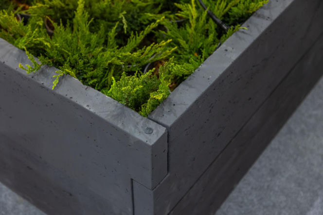 BUDMA 2026 - zdjęcia