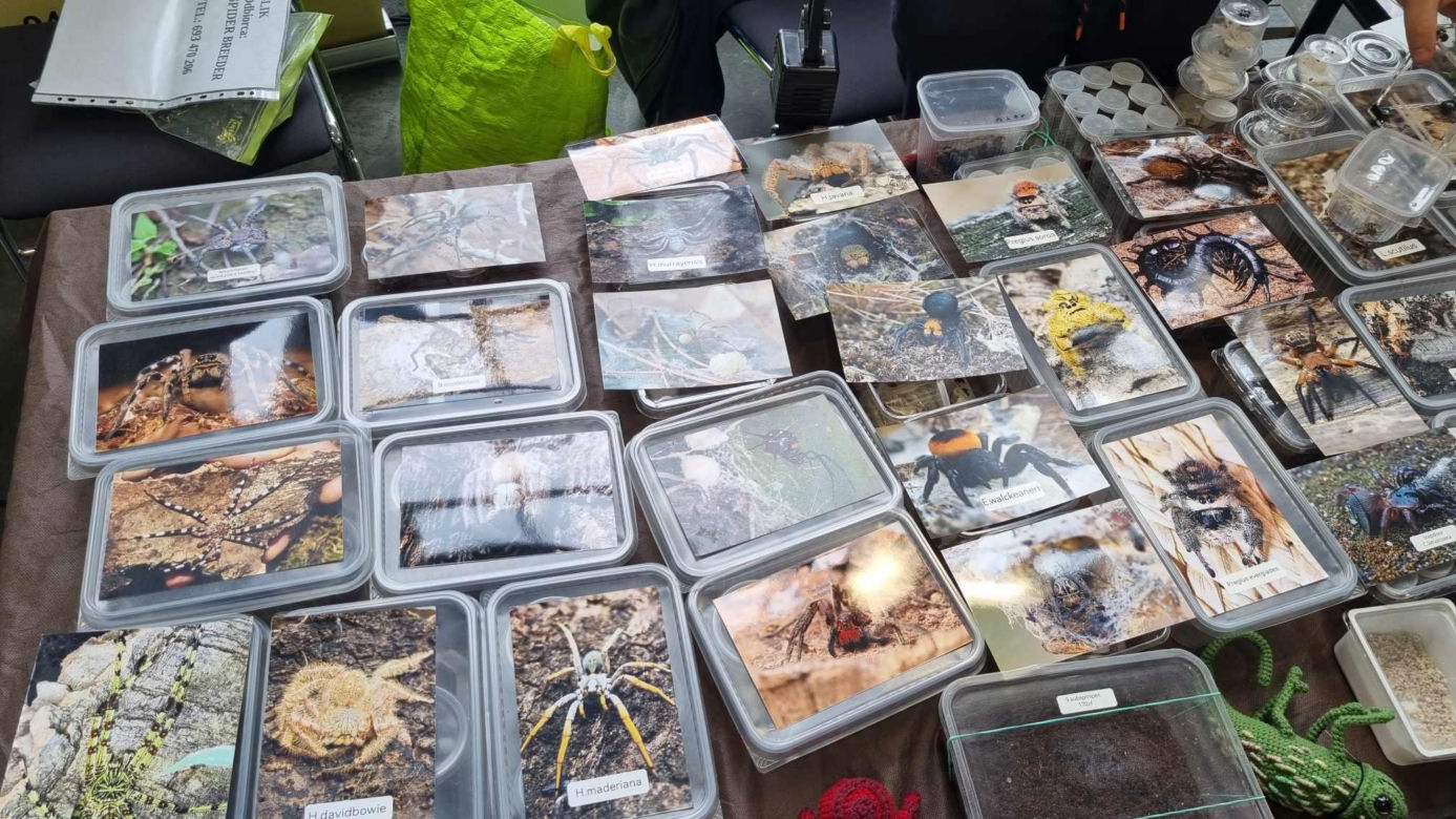 Targi Exotic Fest odbyły się w Poznaniu