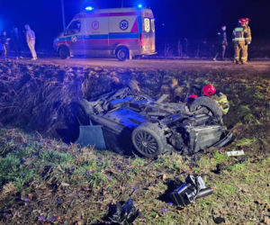 Wypadek w miejscowości Sutków. Auto wylądowało w rowie, a kierowca w szpitalu