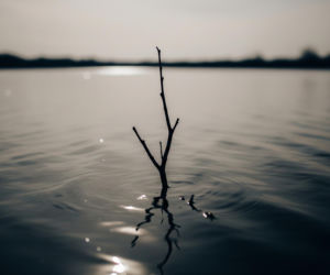 Tragedia w Śremie, zaginął Jędrzej. Co doprowadziło do tragicznego finału poszukiwań?