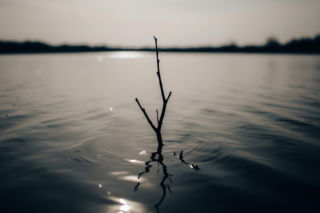 Tragedia w Śremie, zaginął Jędrzej. Co doprowadziło do tragicznego finału poszukiwań?