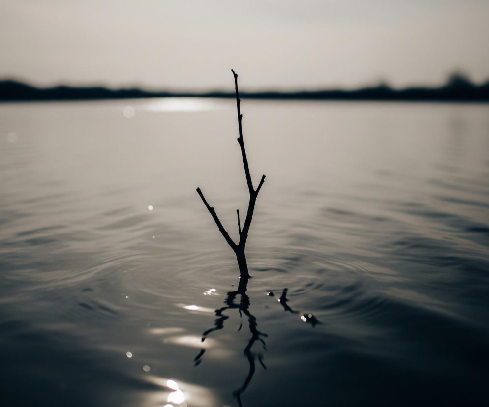 Na pierwszym planie, centralnie, wystaje z wody ciemna, bezlistna gałązka o nieregularnym kształcie, z kilkoma rozgałęzieniami. Poniżej lustra wody widoczne jest jej odbicie. Powierzchnia wody faluje, tworząc delikatne zmarszczki, a odbijające się światło słoneczne tworzy jaśniejsze plamy i refleksy. Horyzont na dalszym planie jest niewyraźny, z ciemną, rozmazaną linią drzew lub lądu. Całość utrzymana jest w stonowanych odcieniach szarości i ciemnego błękitu, co nadaje obrazowi spokojny i nieco melancholijny nastrój.
