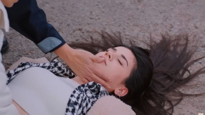 Miłość i nadzieja odc. 339. Bahar