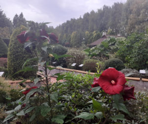 Arboretum Bolestraszyce