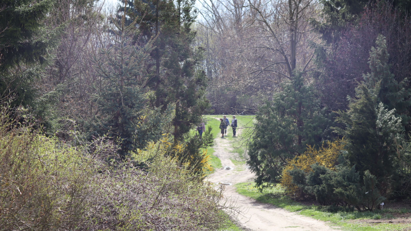 Ogród Botaniczny w Lublinie otwarty! Wszędzie widać wiosnę