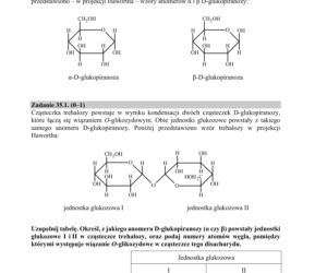 Matura 2020 ARKUSZE CKE: Chemia