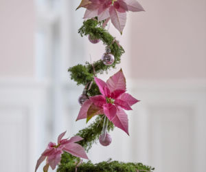 Najpiękniejsze dekoracje świąteczne z poinsecją w roli głównej