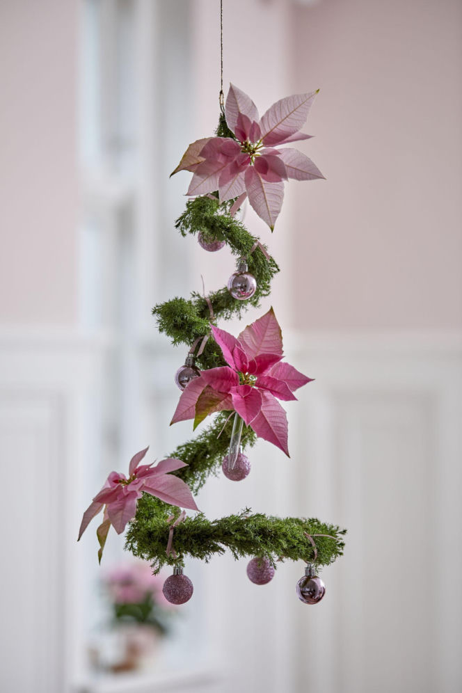 Najpiękniejsze dekoracje świąteczne z poinsecją w roli głównej