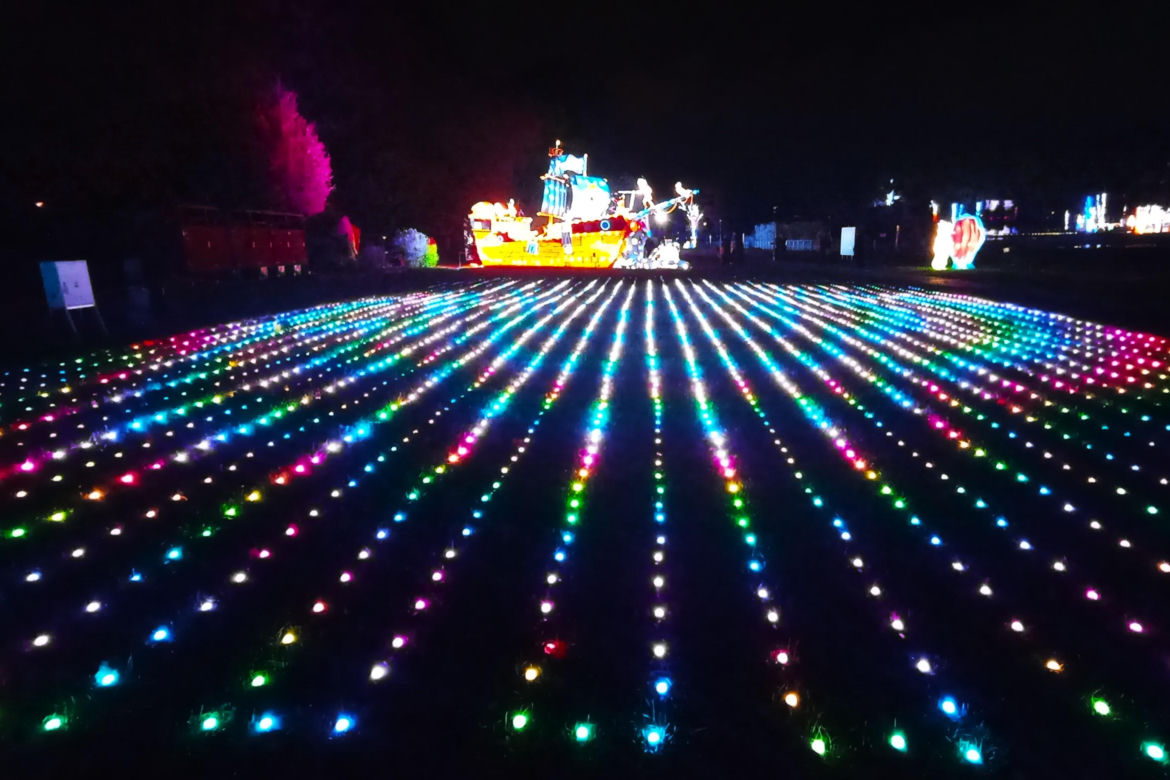 Garden of Lights w Szczecinie