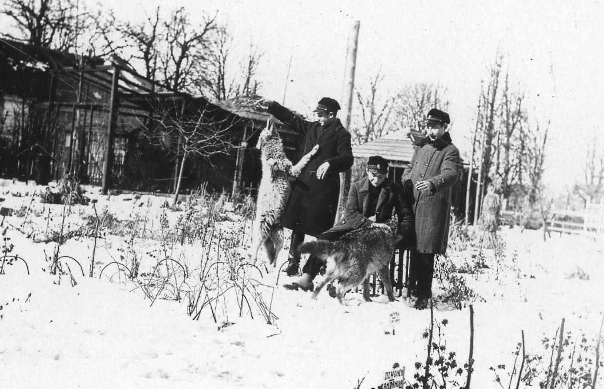 Pierwszy szkolny ogród zoologiczny w kraju powstał w Zamościu! Tak wyglądał 100 lat temu!
