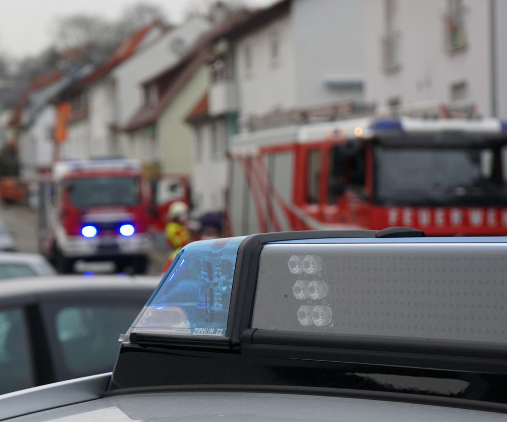Te statystyki PRZERAŻAJĄ! Podczas wakacji na drogach zginęło niemal 500 osób