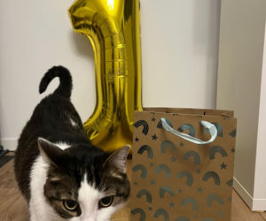 Panduś świętuje rocznicę nowego życia