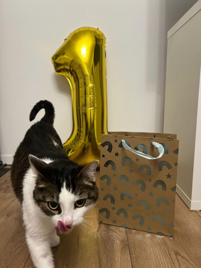 Panduś świętuje rocznicę nowego życia