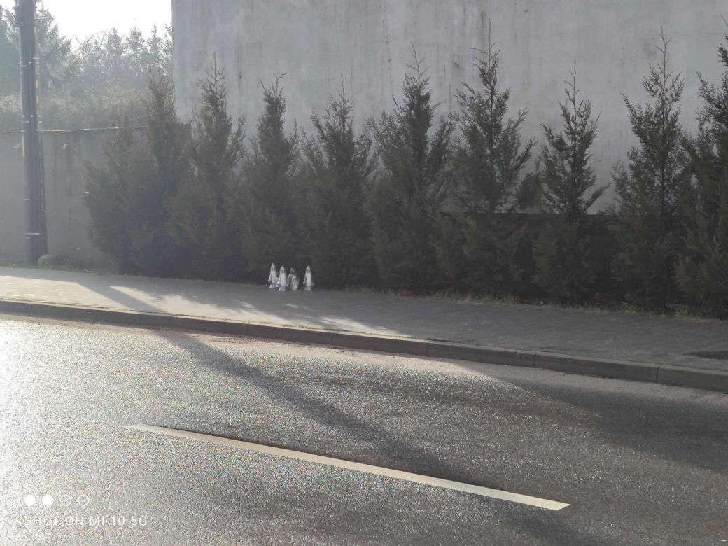 W miejscu tragedii w Wawrowie palą się znicze