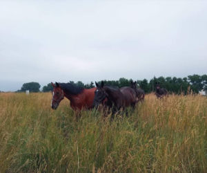 Podopieczni Zakątka Weteranów