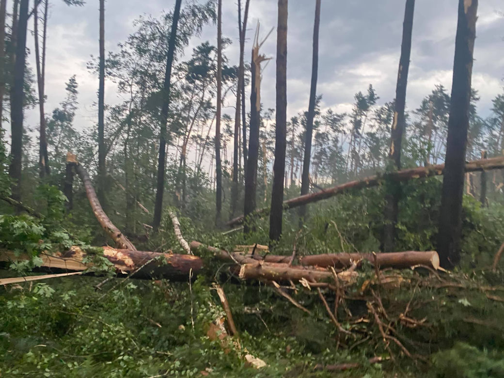 Potężna nawałnica w powiecie oleśnickim