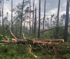 Potężna nawałnica w powiecie oleśnickim