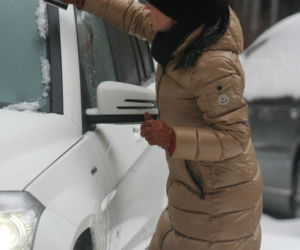 Mucha skrobie szyby kartą kredytową