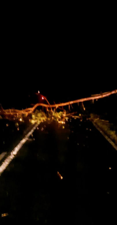 Usuwali drzewo z drogi i usłyszeli wołanie o pomoc. Strażacy byli w szoku