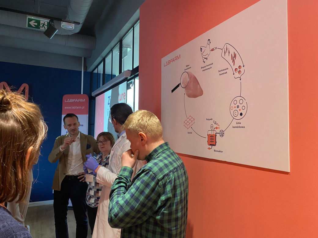 LabFarm pracuje nad hodowlą pierwszego polskiego mięsa komórkowego