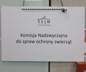 Doda i Małgorzata Rozenek-Majdan razem w Sejmie dla zwierząt