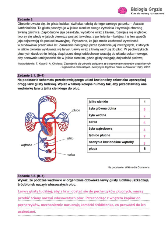 Matura próbna 2026 - biologia. Wszystkie odpowiedzi do arkusza CKE z biologii 14.01.2026