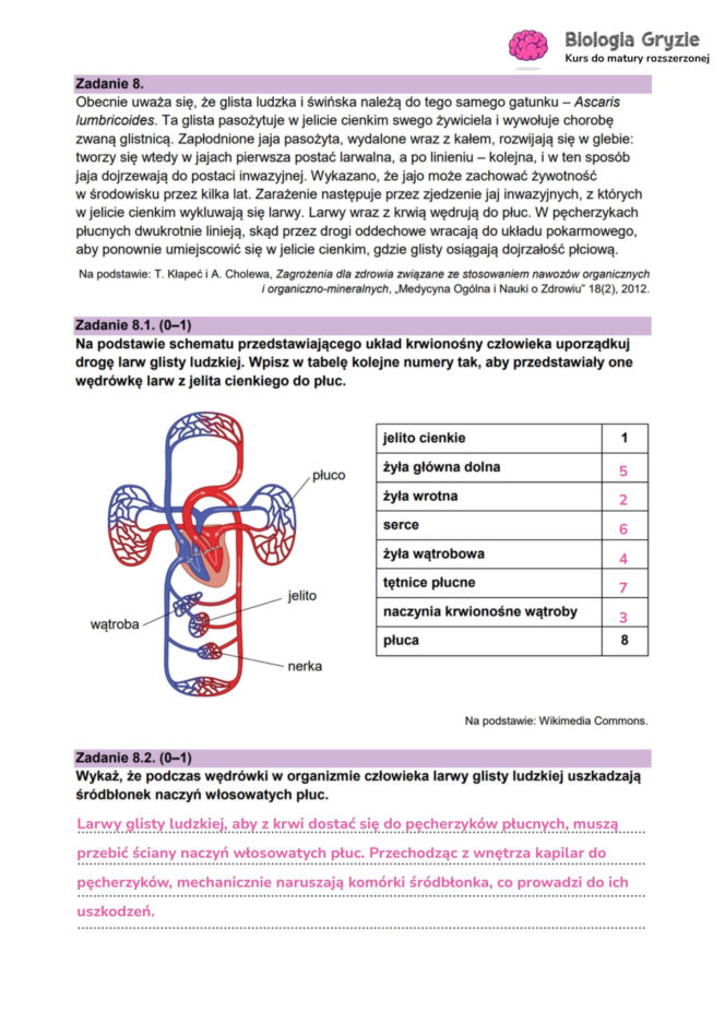 Matura próbna 2026 - biologia. Wszystkie odpowiedzi do arkusza CKE z biologii 14.01.2026