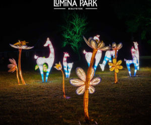 Lumina Park