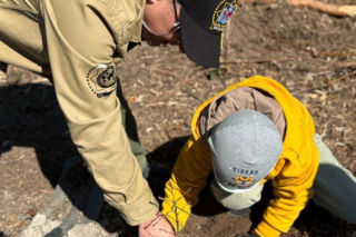 Na terenie Nadleśnictwa Siedlce w Golicach policjanci z IPA rejonu siedleckiego zasadzili nowy las