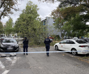 Potworne skutki wichury w Warszawie