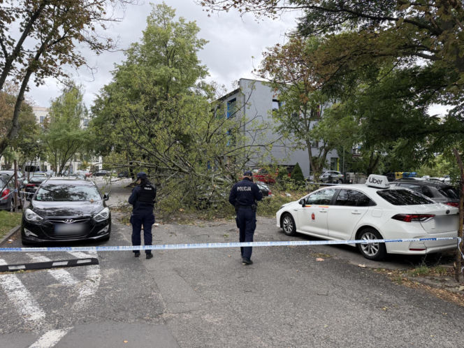 Potworne skutki wichury w Warszawie