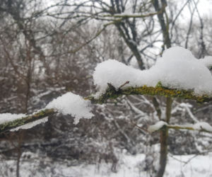 Zima na Górkach Fordońskich