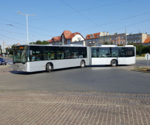 Pierwszy kurs autobusu przegubowego w Grudziądzu