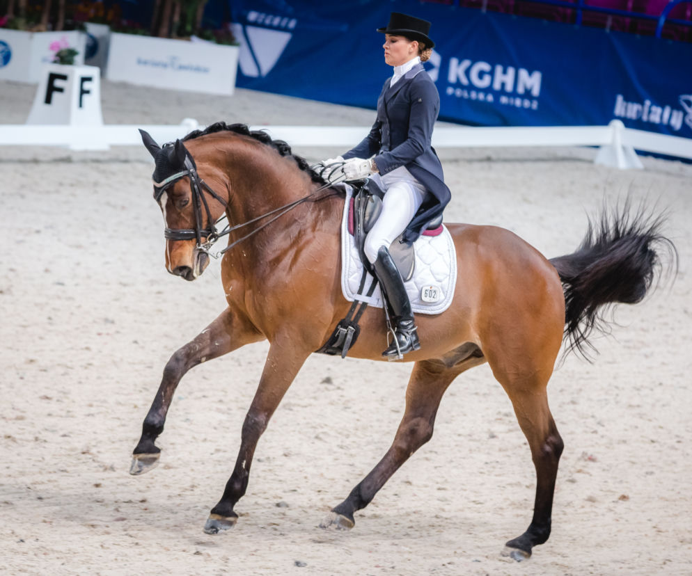 Czas start… Zbliża się Cavaliada na COS Torwar!