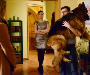 Komisarz Alex 5 sezon odcinek 60 (odc. 8). Michał Orlicz (Antoni Pawlicki), Kinga Iskierka (Magdalena Turczeniewicz)