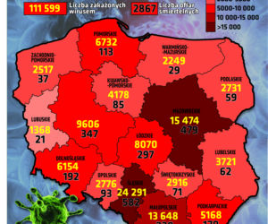 Koronawirus w Polsce. Rozwój pandemii w Polsce