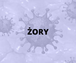 Żory - 109 zakażonych
