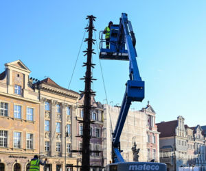 Trwa montaż choinki i świątecznych iluminacji