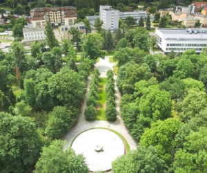 Będą porządki w parku Witosa w Bydgoszczy