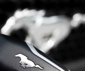 Ford Mustang Convertible 2.3 EcoBoost