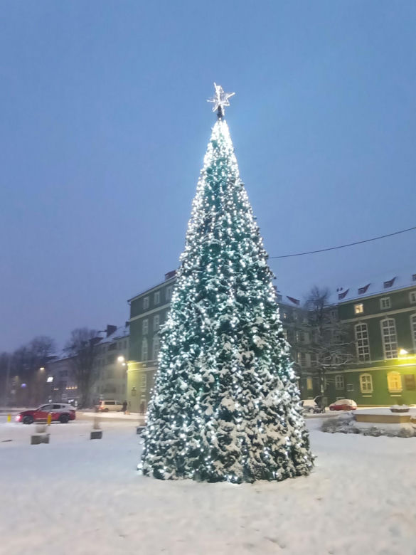 Miejska choinka przed urzędem miasta